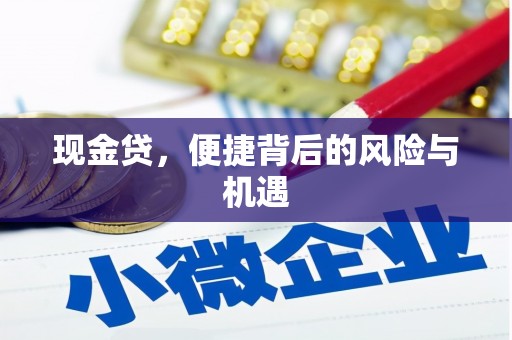 崇信现金贷，便捷背后的风险与机遇