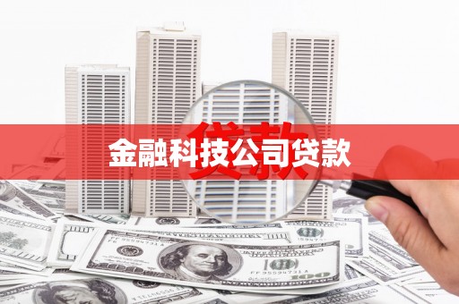 崇信金融科技公司贷款