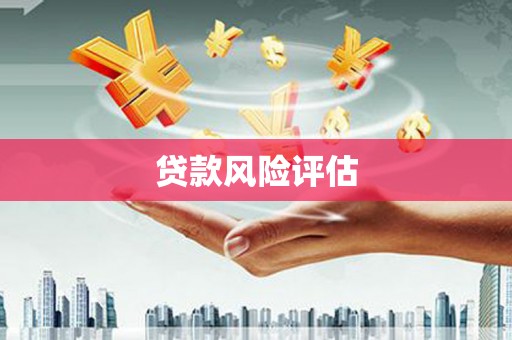崇信贷款风险评估
