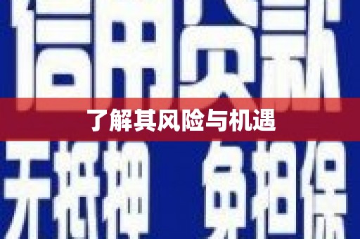 崇信了解其风险与机遇