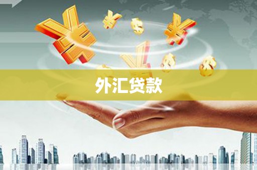 崇信外汇贷款