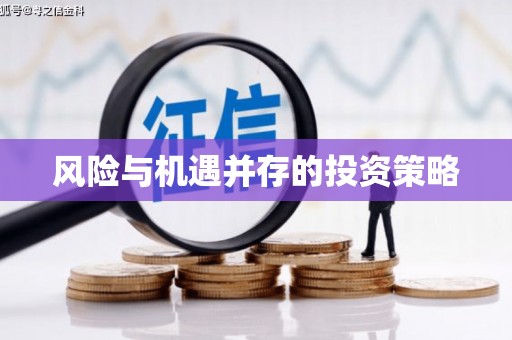 崇信风险与机遇并存的投资策略