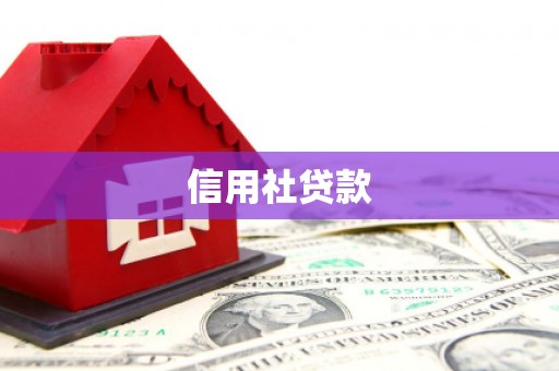 崇信信用社贷款
