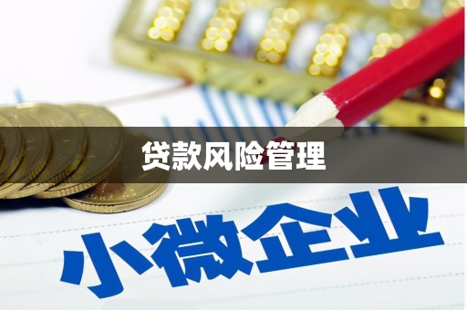 崇信贷款风险管理