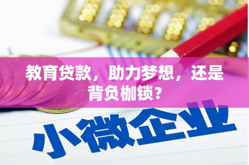崇信教育贷款，助力梦想，还是背负枷锁？