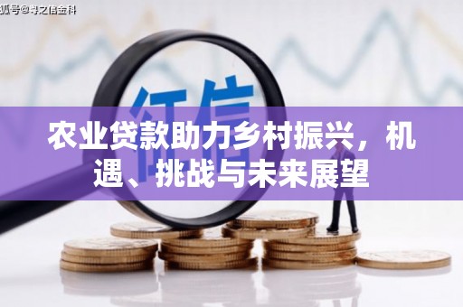 崇信农业贷款助力乡村振兴，机遇、挑战与未来展望