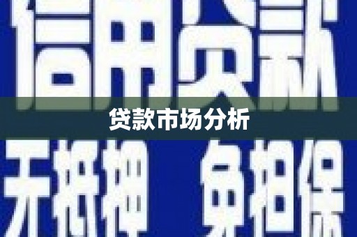 崇信贷款市场分析