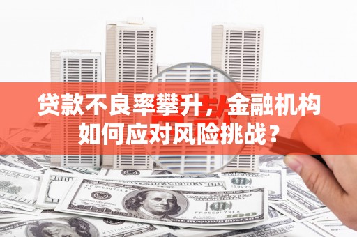 崇信贷款不良率攀升，金融机构如何应对风险挑战？
