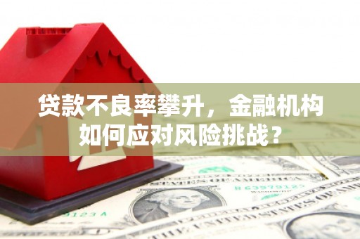 崇信贷款不良率攀升，金融机构如何应对风险挑战？