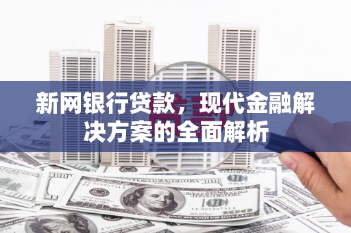 崇信新网银行贷款，现代金融解决方案的全面解析
