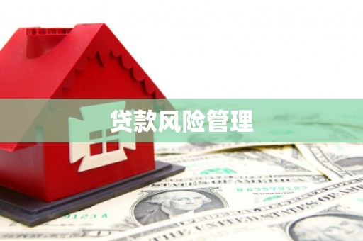 崇信贷款风险管理
