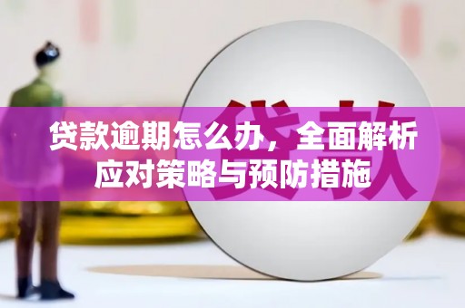崇信贷款逾期怎么办，全面解析应对策略与预防措施