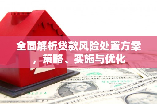 崇信全面解析贷款风险处置方案，策略、实施与优化