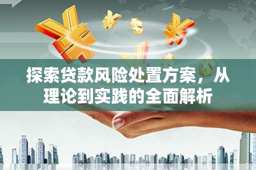 崇信探索贷款风险处置方案，从理论到实践的全面解析