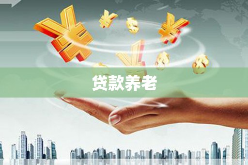 崇信贷款养老