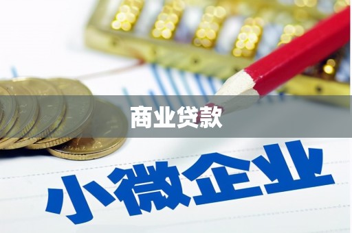 崇信商业贷款