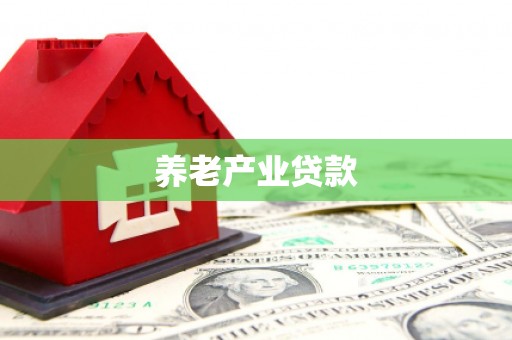 崇信养老产业贷款