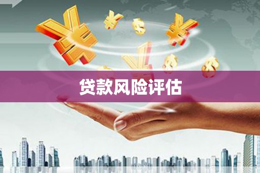 崇信贷款风险评估