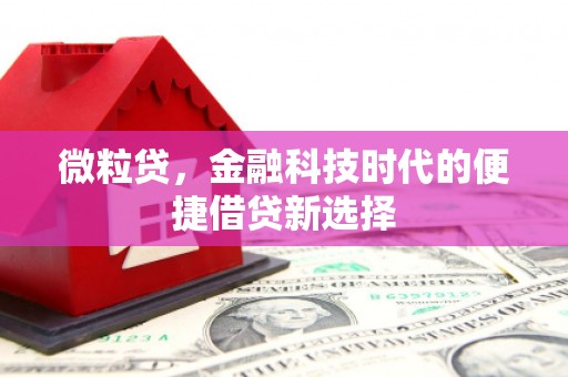 崇信微粒贷，金融科技时代的便捷借贷新选择