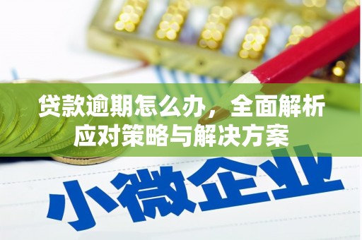 崇信贷款逾期怎么办，全面解析应对策略与解决方案