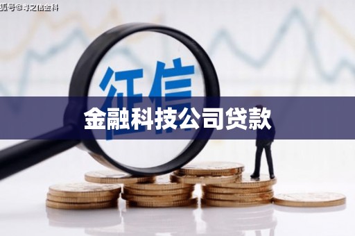 崇信金融科技公司贷款